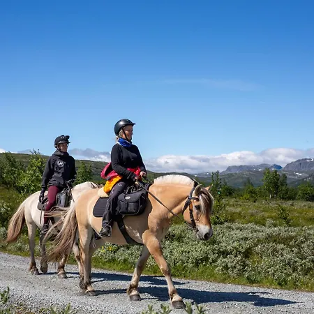 Spacious With Sauna & Scenic Terrace * Beitostolen