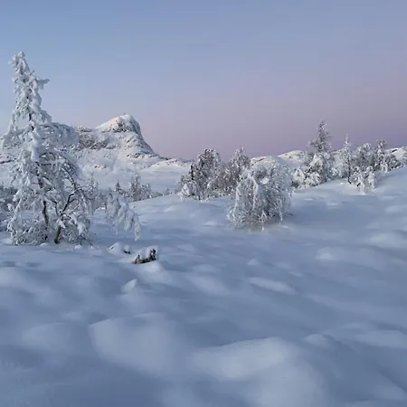 Spacious With Sauna & Scenic Terrace